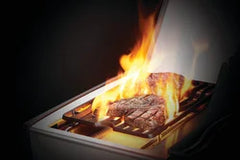 Napoleon Rogue SE 425 Gas Grills